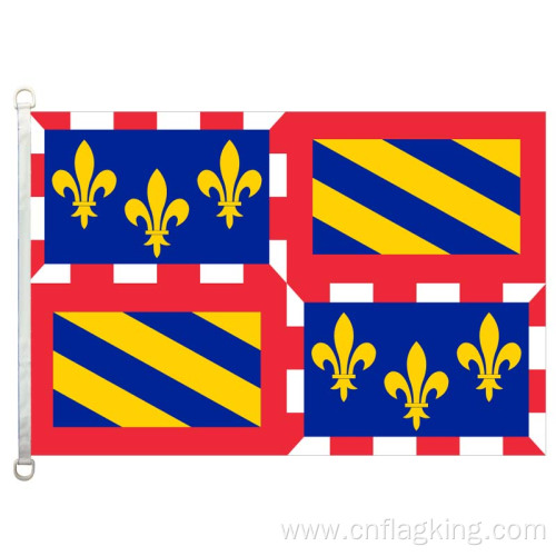 100% polyster Bourgogne flag 90*150CM Bourgogne banner